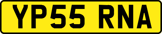 YP55RNA