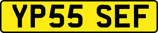 YP55SEF