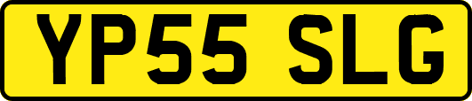 YP55SLG