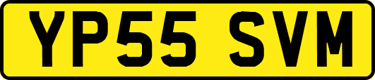 YP55SVM