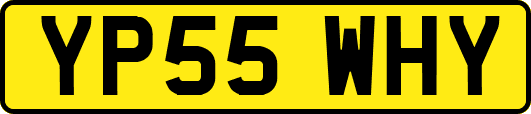 YP55WHY