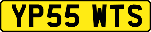 YP55WTS