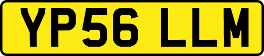 YP56LLM