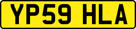 YP59HLA