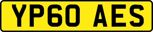 YP60AES