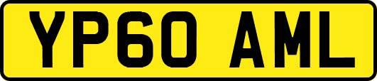 YP60AML