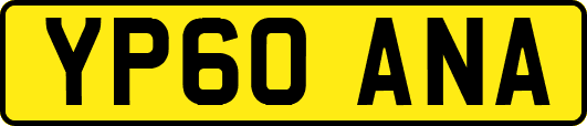 YP60ANA