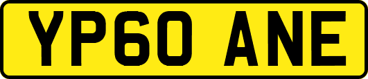 YP60ANE