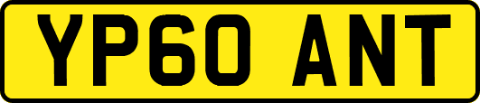 YP60ANT