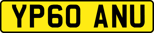 YP60ANU