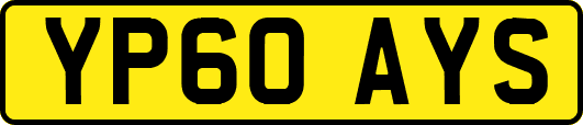 YP60AYS