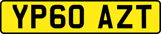 YP60AZT