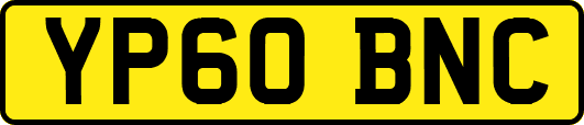 YP60BNC
