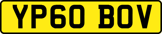 YP60BOV