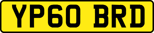 YP60BRD