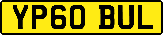 YP60BUL