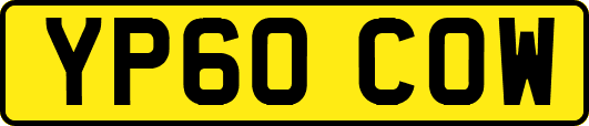 YP60COW