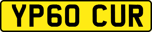 YP60CUR