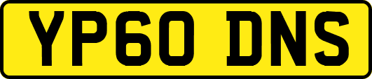 YP60DNS