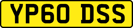 YP60DSS