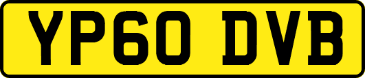 YP60DVB