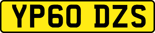 YP60DZS
