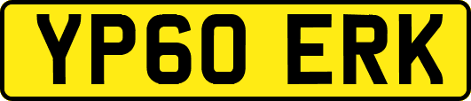 YP60ERK