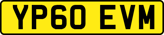 YP60EVM