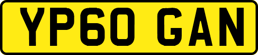 YP60GAN