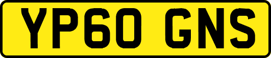 YP60GNS