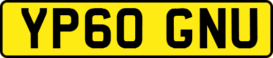 YP60GNU