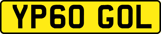 YP60GOL