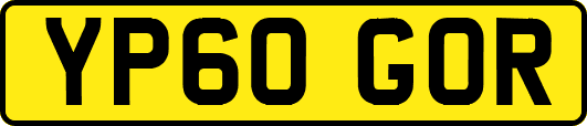 YP60GOR