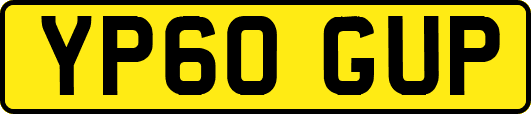 YP60GUP