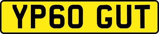 YP60GUT