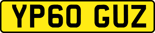 YP60GUZ