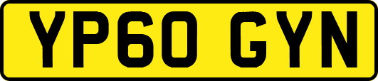 YP60GYN