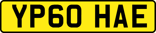 YP60HAE