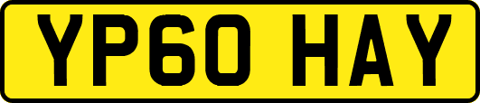 YP60HAY