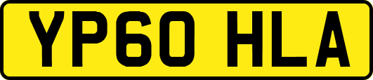 YP60HLA