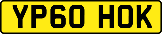 YP60HOK