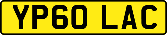 YP60LAC