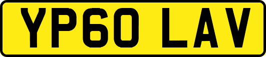 YP60LAV