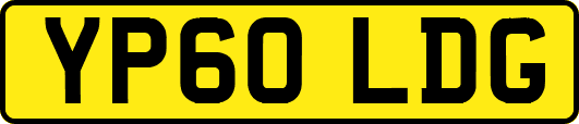 YP60LDG