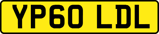 YP60LDL