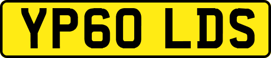 YP60LDS