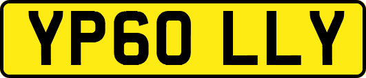 YP60LLY