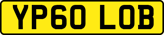 YP60LOB