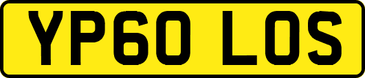 YP60LOS