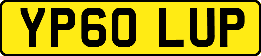 YP60LUP
